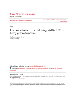 In Vitro Analysis of the Self-Cleaving Satellite RNA of Barley Yellow Dwarf Virus Stanley Livingstone Silver Iowa State University