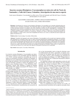 Insectos Escama (Hemiptera: Coccomorpha) En Raíces De Café De Norte De Santander Y Valle Del Cauca, Colombia Y Descripción De Una Nueva Especie