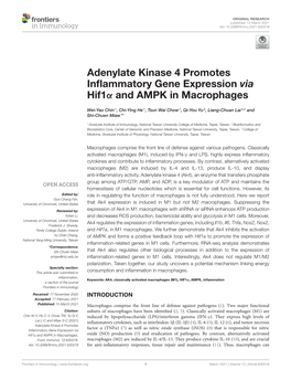 Adenylate Kinase 4 Promotes Inflammatory Gene Expression Via