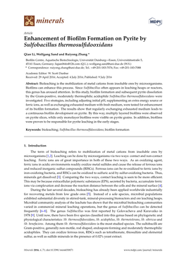 Enhancement of Biofilm Formation on Pyrite by Sulfobacillus