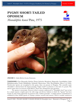 PYGMY SHORT-TAILED OPOSSUM Monodelphis Kunsi Pine, 1975