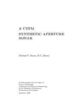 A CTFM Synthetic Aperture Sonar 101 6.1.1 Projector Radiation Pattern 101 6.1.2 Hydrophone Response 103 X