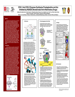 COX-1 and COX-2 Enzymes Synthesize Prostaglandins and Are Teacher Emeritus, University of Wisconsin-Madison) Mentor: Dr