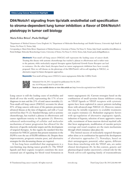 Dll4/Notch1 Signaling from Tip/Stalk Endothelial Cell Specification To