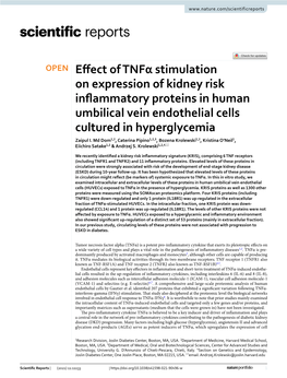 Effect of Tnfα Stimulation on Expression of Kidney Risk