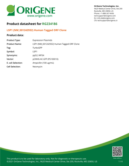 LSP1 (NM 001242932) Human Tagged ORF Clone Product Data