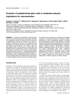 Evolution of Predetermined Germ Cells in Vertebrate Embryos: Implications for Macroevolution