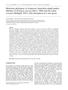 Affinities of Echiopsis Atriceps (Storr, 1980) and Drysdalia Coronata