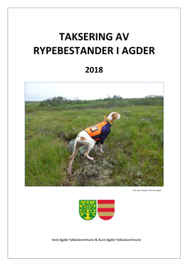 Taksering Av Rypebestander I Agder