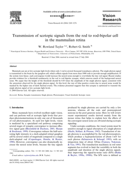 Transmission of Scotopic Signals from the Rod to Rod-Bipolar Cell in the Mammalian Retina