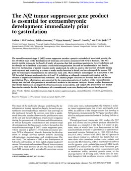 The Nf2 Tumor Suppressor Gene Product IS Essential for Extraembryon.Lc Development Immediately Prior to Gastrulation