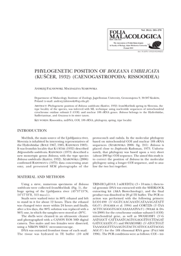 Phylogenetic Position of Boleana Umbilicata (Kušèer, 1932) (Caenogastropoda: Rissooidea)