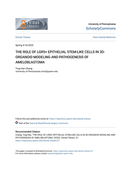 The Role of Lgr5+ Epithelial Stem-Like Cells in 3D-Organoid Modeling and Pathogenesis of Ameloblastoma