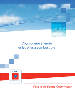 L'hydrogène Énergie Et Les Piles À Combustible