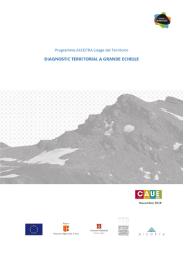 Diagnostic Territorial a Grande Echelle