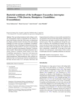 Bacterial Symbionts of the Leafhopper Evacanthus Interruptus (Linnaeus, 1758) (Insecta, Hemiptera, Cicadellidae: Evacanthinae)