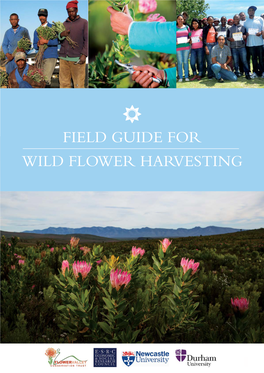 Field Guide for Wild Flower Harvesting