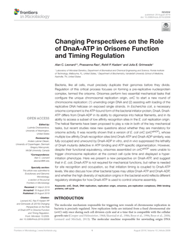 Changing Perspectives on the Role of Dnaa-ATP in Orisome Function and Timing Regulation