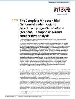 The Complete Mitochondrial Genome of Endemic Giant Tarantula