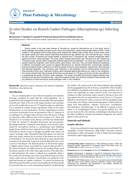 In Vitro Studies on Branch Canker Pathogen