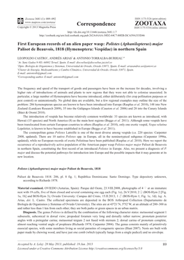 First European Records of an Alien Paper Wasp: Polistes (Aphanilopterus) Major Palisot De Beauvois, 1818 (Hymenoptera: Vespidae) in Northern Spain