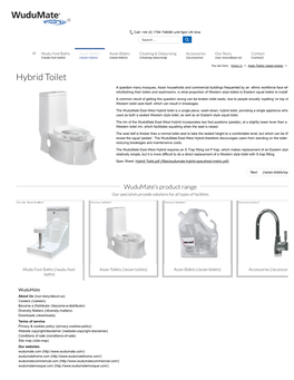 Hybrid Toilet