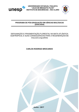 DEFAUNAÇÃO E FRAGMENTAÇÃO FLORESTAL NA MATA ATLÂNTICA SUBTROPICAL E SUAS CONSEQUÊNCIAS PARA a REGENERAÇÃO DE Araucaria Angustifolia