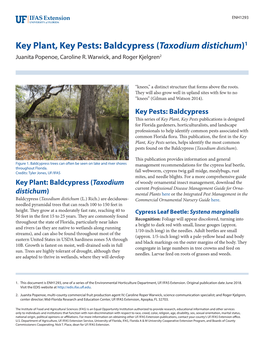 Key Plant, Key Pests: Baldcypress (Taxodium Distichum)1 Juanita Popenoe, Caroline R