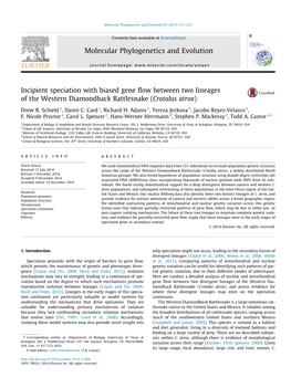 Incipient Speciation with Biased Gene Flow Between Two Lineages of the Western Diamondback Rattlesnake (Crotalus Atrox)