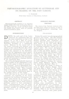 Phytogeographic Evolution of Guttiferae and Its Bearing on the Past Climate