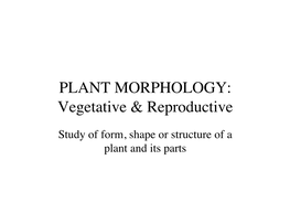 PLANT MORPHOLOGY: Vegetative & Reproductive