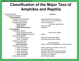 Classification of the Major Taxa of Amphibia and Reptilia