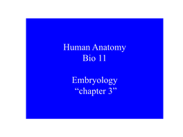 Human Anatomy Bio 11 Embryology “Chapter 3”