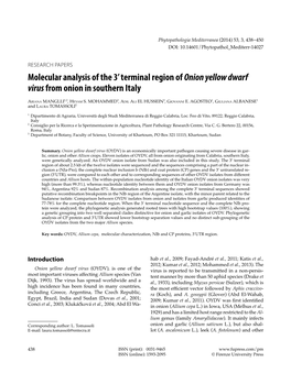 Molecular Analysis of the 3' Terminal Region of Onion Yellow Dwarf