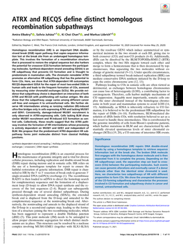 ATRX and RECQ5 Define Distinct Homologous Recombination Subpathways