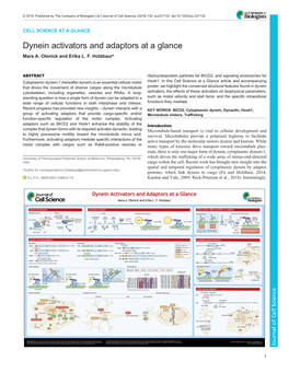 Dynein Activators and Adaptors at a Glance Mara A