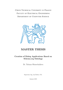 Master Thesis