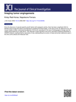 Imaging Tumor Angiogenesis