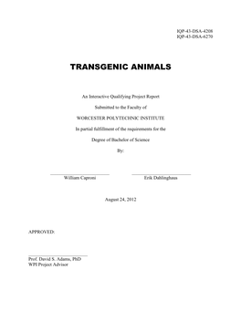 Transgenic Animals