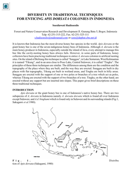 Diversity in Traditional Techniques for Enticing Apis Dorsata Colonies in Indonesia