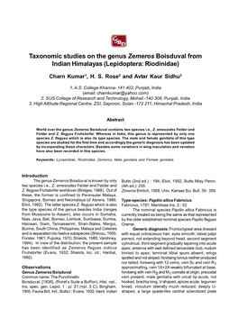 Taxonomic Studies on the Genus Zemeros Boisduval from Indian Himalayas (Lepidoptera: Riodinidae)