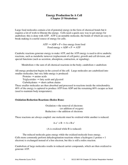 Energy Production in a Cell (Chapter 25 Metabolism)