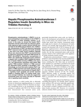 Hepatic Phosphoserine Aminotransferase 1 Regulates Insulin Sensitivity in Mice Via Tribbles Homolog 3