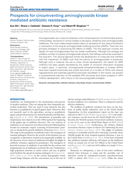 Prospects for Circumventing Aminoglycoside Kinase Mediated Antibiotic Resistance