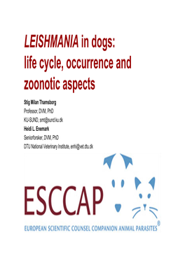 LEISHMANIA in Dogs: Life Cycle, Occurrence and Zoonotic Aspects