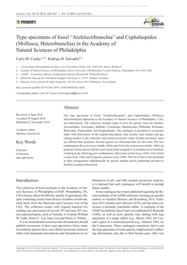 Type Specimens of Fossil “Architectibranchia” and Cephalaspidea (Mollusca, Heterobranchia) in the Academy of Natural Sciences of Philadelphia
