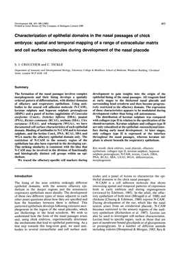 Characterization of Epithelial Domains in The