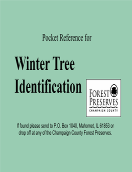 Winter Tree Identification Pocket Guide