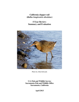 California Clapper Rail (Rallus Longirostris Obsoletus) 5-Year Review