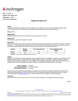 Rabbit Anti-Ephrin-A1 Rabbit Anti-Ephrin-A1